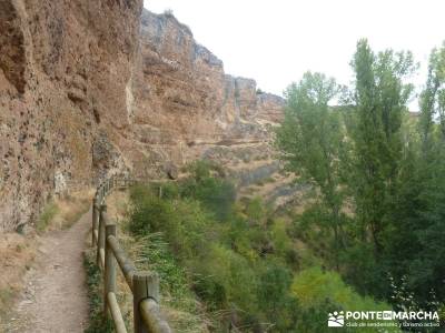 Hoces Río Duratón - Villa Sepúlveda; madeira senderismo senderismo en jaca